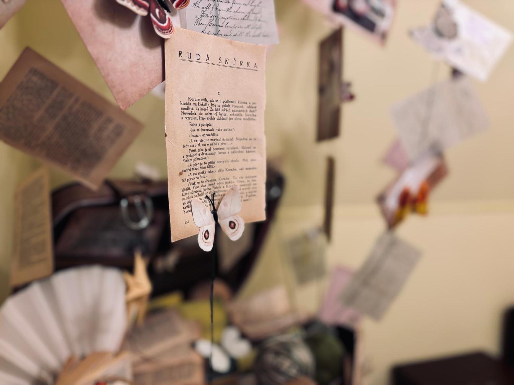 Poet'S Theme Room, Free Parking Karlsbad Buitenkant foto
